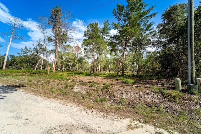 3255 Red Fox Dr, Deltona, FL 32725 - photo 13