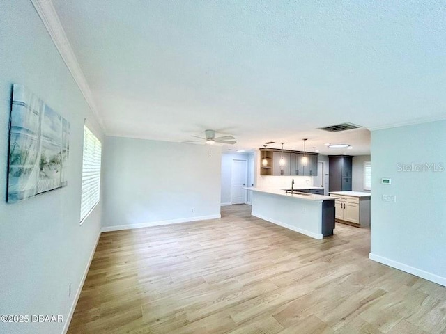 2017 Old Daytona Rd, Port Orange, FL 32128 - unfurnished living room with light wood-type flooring, a ceiling fan, and crown molding
