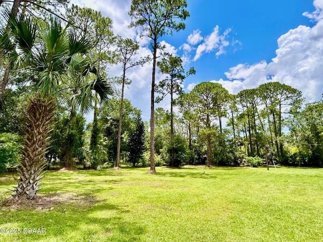 2017 Old Daytona Rd, Port Orange, FL 32128 - view of grassy yard