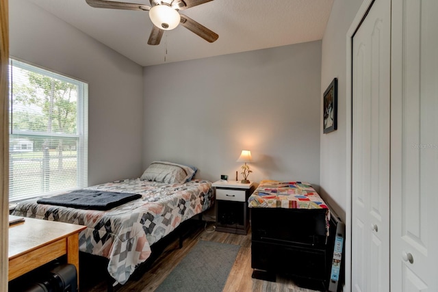 5005 Joseph St, Hastings, FL 32145 - bedroom with wood finished floors and ceiling fan