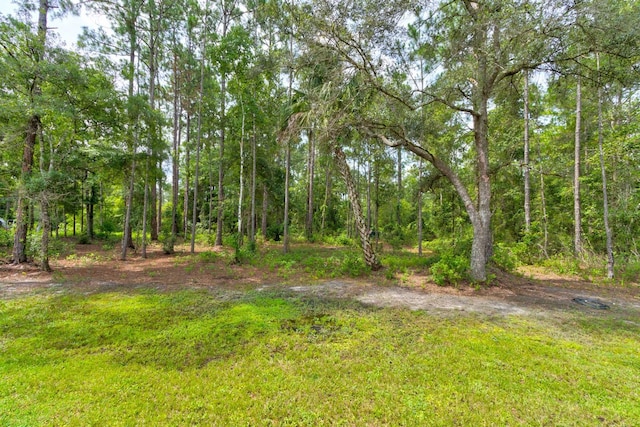 5005 Joseph St, Hastings, FL 32145 - view of tree filled area