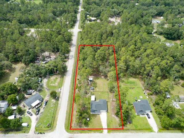 5005 Joseph St, Hastings, FL 32145 - aerial view of property's location featuring property boundaries highlighted and a heavily wooded area