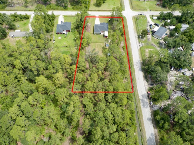 5005 Joseph St, Hastings, FL 32145 - aerial view of property and surrounding area with property boundaries highlighted