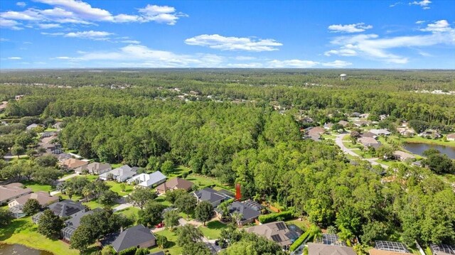 9 Circle Creek Way, Ormond Beach, FL 32174 - photo 45