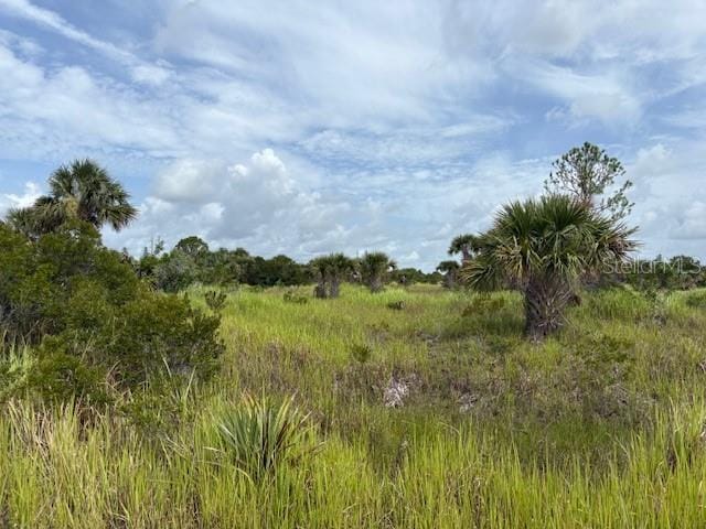 2934 Wakow Cir SW, Palm Bay, FL 32908 - photo 1