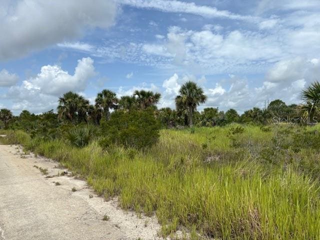 2934 Wakow Cir SW, Palm Bay, FL 32908 - photo 2