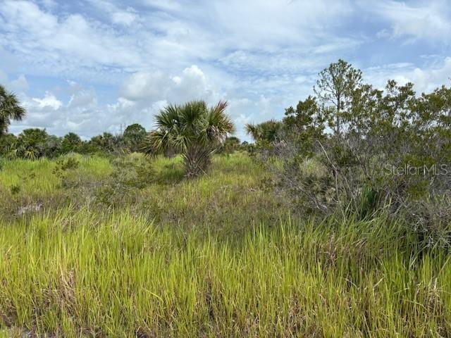 2934 Wakow Cir SW, Palm Bay, FL 32908 - photo 3