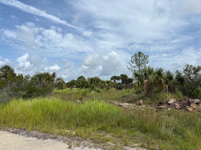 2934 Wakow Cir SW, Palm Bay, FL 32908 - photo 4