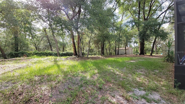 800 Sand Crane Ln, Lake Helen, FL 32744 - photo 47