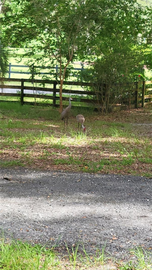 800 Sand Crane Ln, Lake Helen, FL 32744 - photo 48