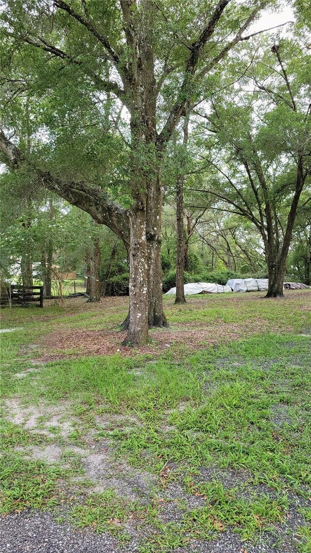 800 Sand Crane Ln, Lake Helen, FL 32744 - photo 49