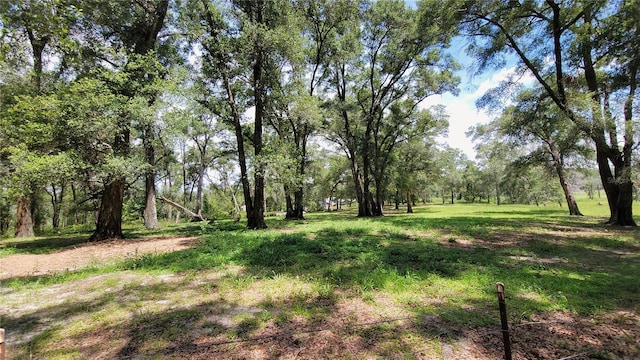 800 Sand Crane Ln, Lake Helen, FL 32744 - photo 58