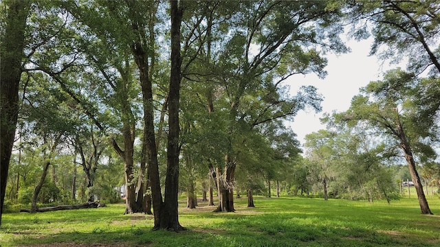 800 Sand Crane Ln, Lake Helen, FL 32744 - photo 60