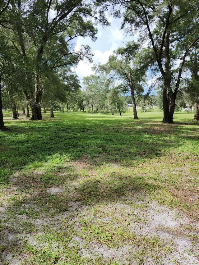 800 Sand Crane Ln, Lake Helen, FL 32744 - photo 72