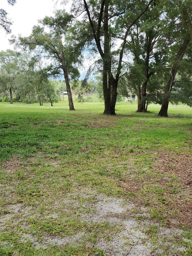 800 Sand Crane Ln, Lake Helen, FL 32744 - photo 74