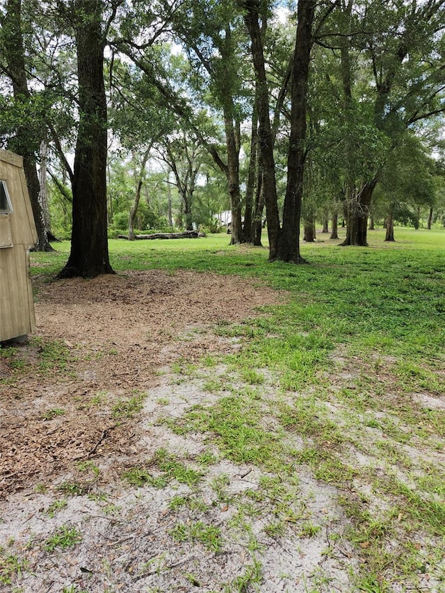 800 Sand Crane Ln, Lake Helen, FL 32744 - photo 75