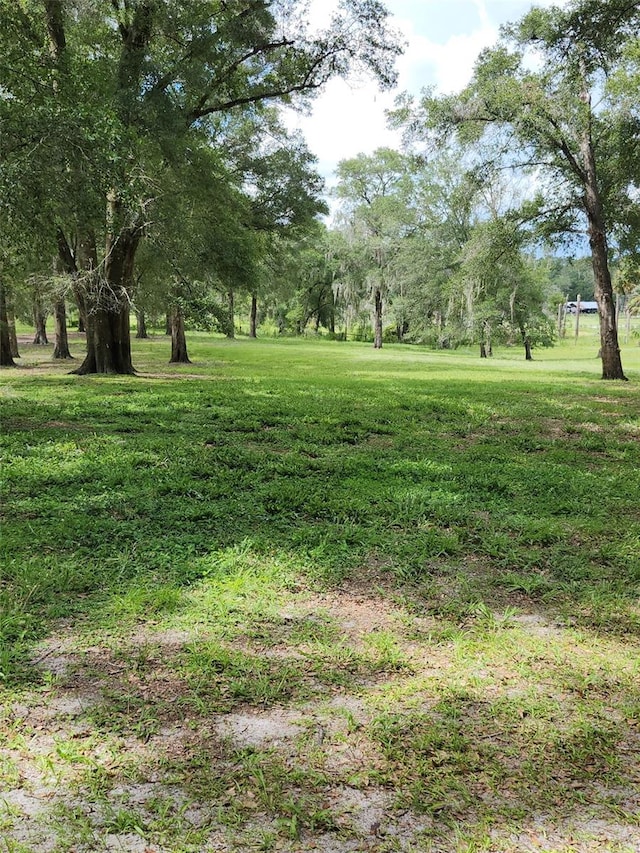 800 Sand Crane Ln, Lake Helen, FL 32744 - photo 77