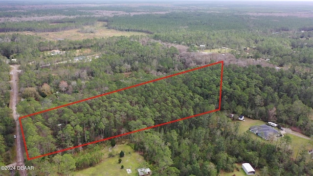 3653 Conifer Ln, Ormond Beach, FL 32174