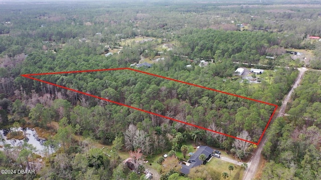 3653 Conifer Ln, Ormond Beach, FL 32174