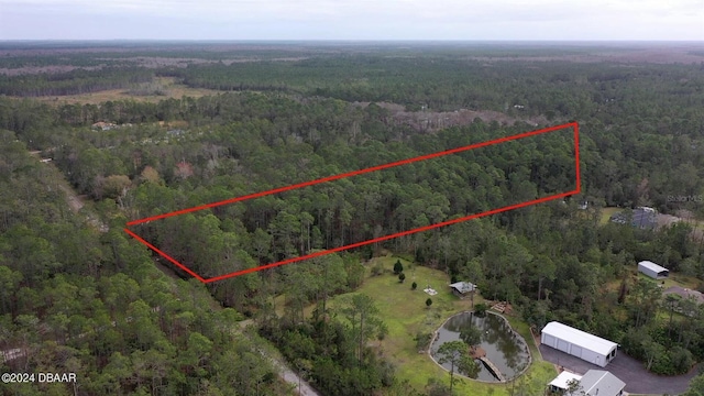 3653 Conifer Ln, Ormond Beach, FL 32174