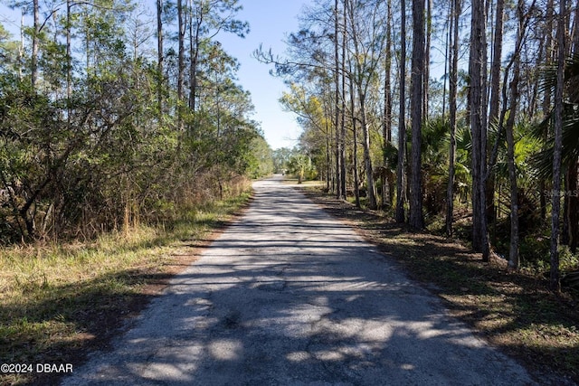 3653 Conifer Ln, Ormond Beach, FL 32174