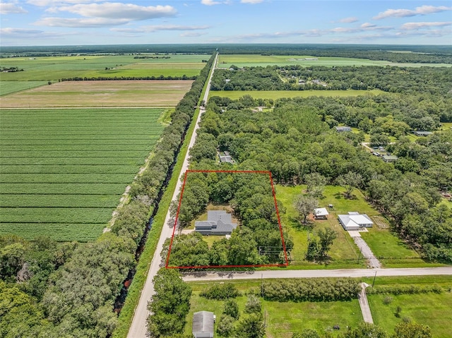 4191 Canal Ave, Bunnell, FL 32110 - photo 3