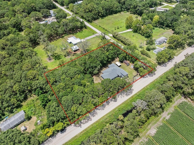 4191 Canal Ave, Bunnell, FL 32110 - photo 79