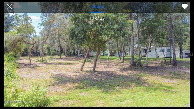 329 Riviera Dr, Crescent City, FL 32112 - photo 5