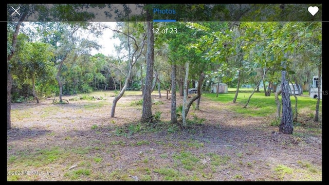 329 Riviera Dr, Crescent City, FL 32112 - photo 6