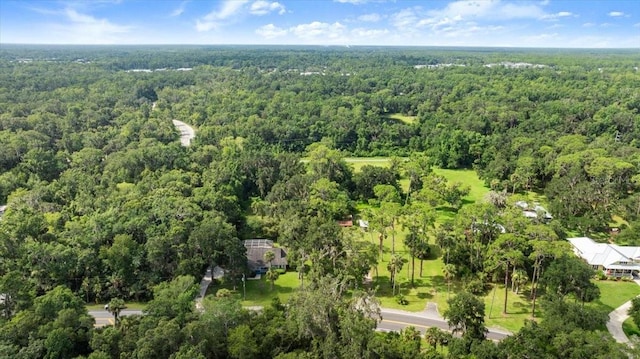 2260 Pioneer Trl, New Smyrna Beach, FL 32168 - photo 34