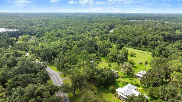 2260 Pioneer Trl, New Smyrna Beach, FL 32168 - photo 35