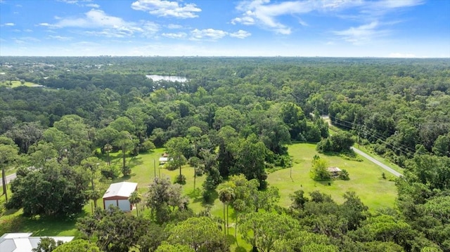 2260 Pioneer Trl, New Smyrna Beach, FL 32168 - photo 37