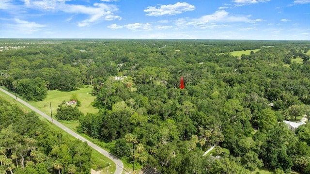 2260 Pioneer Trl, New Smyrna Beach, FL 32168 - photo 42