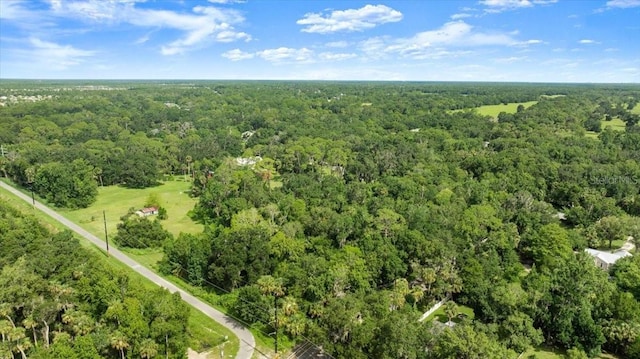 2260 Pioneer Trl, New Smyrna Beach, FL 32168 - photo 43