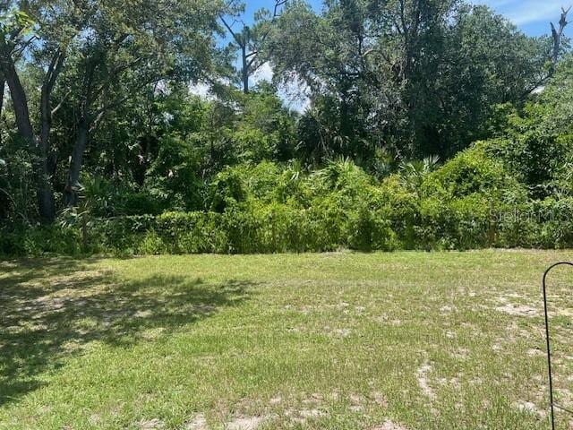 2748 Glenwood Ave, New Smyrna Beach, FL 32168 - photo 4