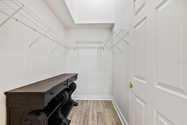 1636 Areca Palm Dr, Port Orange, FL 32128 - walk in closet with light wood-style flooring