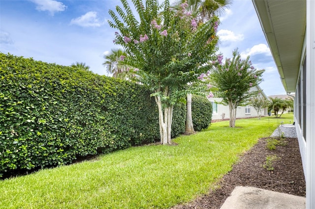 1636 Areca Palm Dr, Port Orange, FL 32128 - view of grassy yard