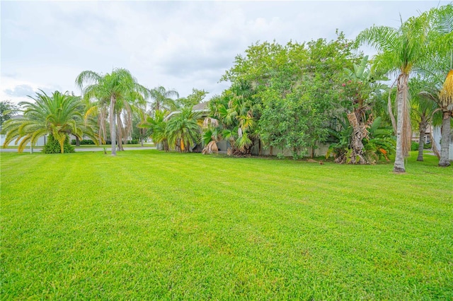 336 Courtlea Park Dr, Winter Garden, FL 34787 - photo 39