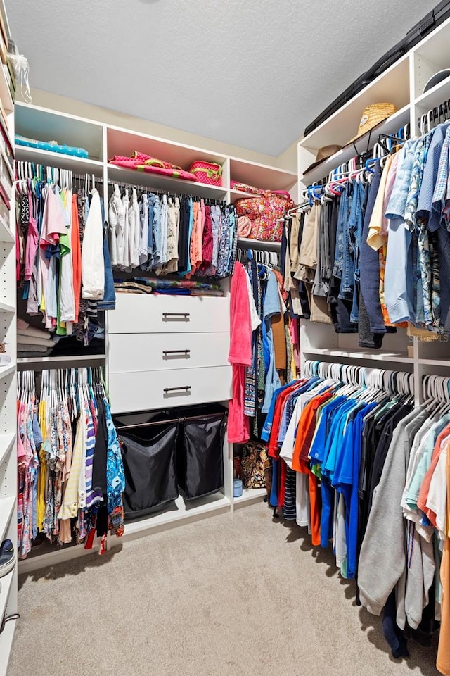 249 Kellet Way, Saint Johns, FL 32259 - spacious closet with carpet flooring
