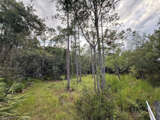 1505 County Road 13, Bunnell, FL 32110 - photo 2