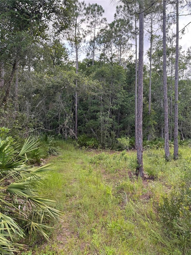 1505 County Road 13, Bunnell, FL 32110 - photo 3