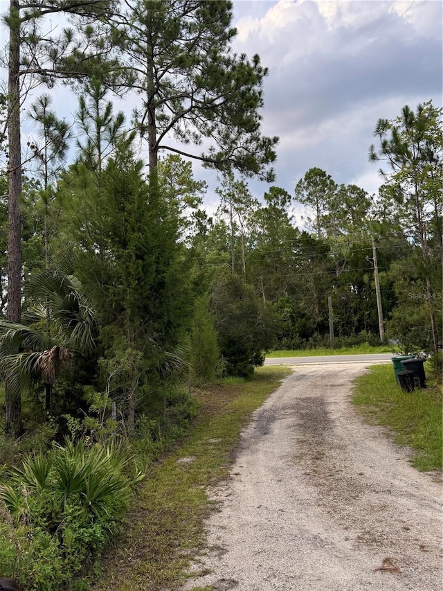 1505 County Road 13, Bunnell, FL 32110 - photo 4
