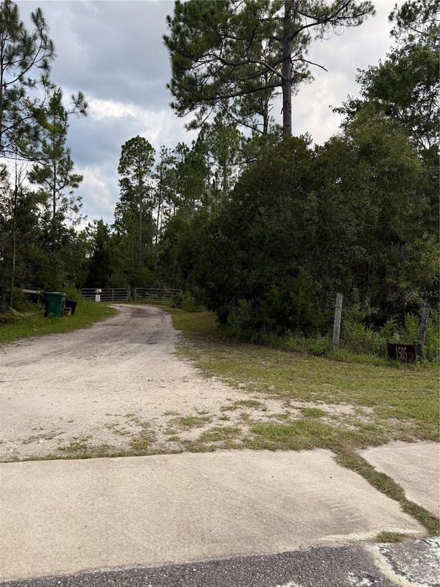 1505 County Road 13, Bunnell, FL 32110 - photo 5