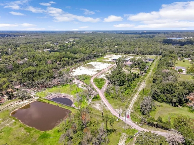 1860 Kicklighter Rd, Lake Helen, FL 32744 - photo 5