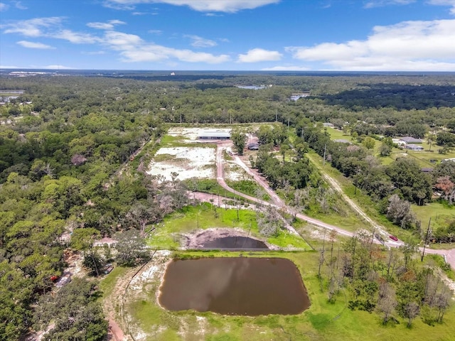 1860 Kicklighter Rd, Lake Helen, FL 32744 - photo 8