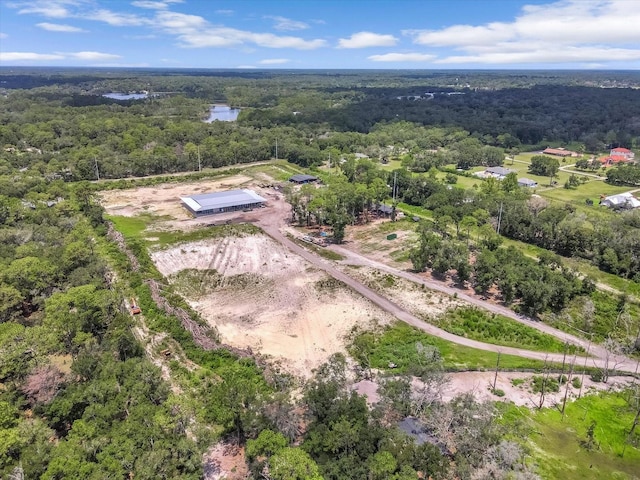 1860 Kicklighter Rd, Lake Helen, FL 32744 - photo 10