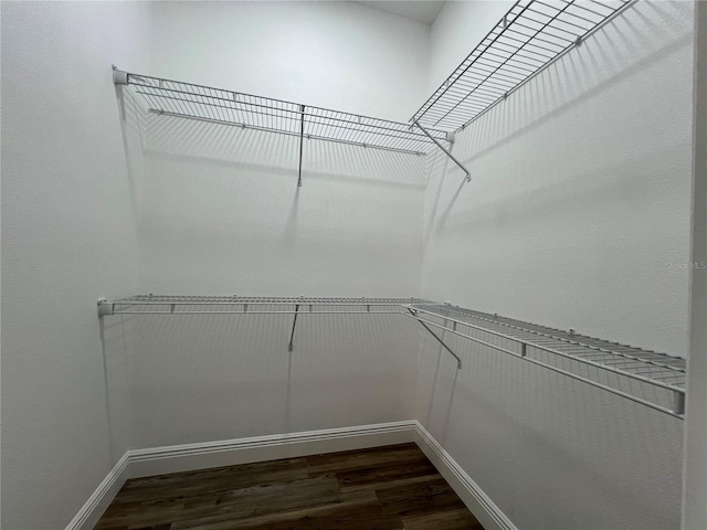 1510 Granada Ave, Daytona Beach, FL 32117 - spacious closet with dark wood-style flooring