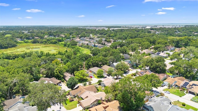 1034 Old S Ln, Apopka, FL 32712 - photo 42