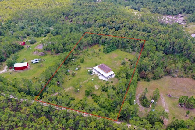 4666 Fir Rd, New Smyrna Beach, FL 32168 - view of property location featuring property parcel outlined