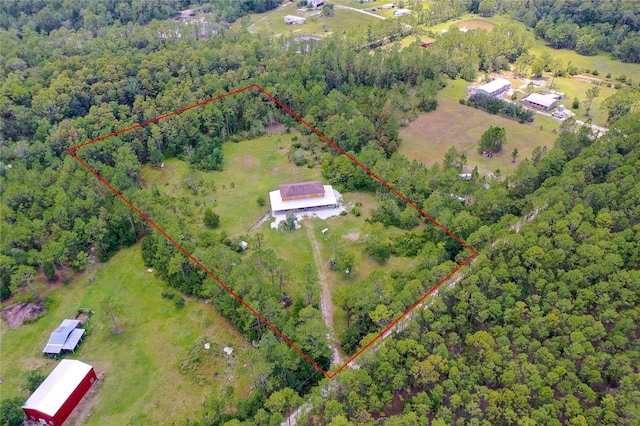 4666 Fir Rd, New Smyrna Beach, FL 32168 - view of property location featuring property parcel outlined and a heavily wooded area